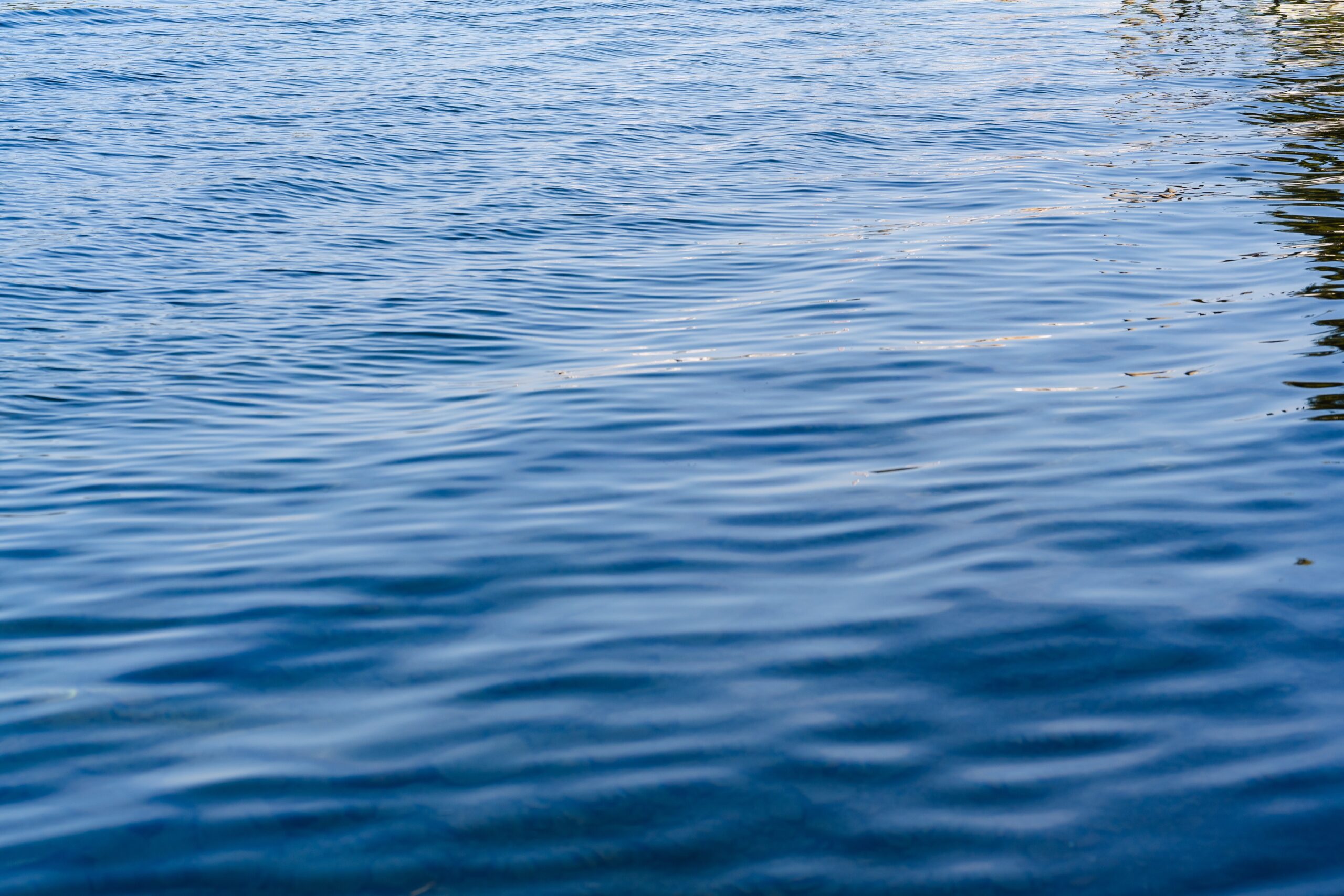 a photo graphics depicting waves of lake constance by Thomas Meier-Löpfe. Ein Foto, das Wellen im Bodensee darstellt, von Thomas Meier-Löpfe