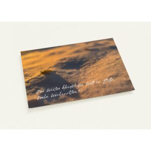 Pack of 10 Christmas Post Cards (with German greeting)