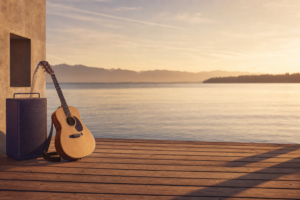 Solo Acoustic Act Lake Constance